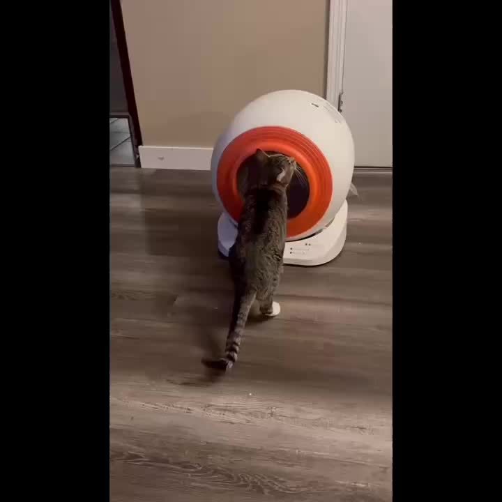 Smart Cat Litter Box Cat Litter Box Self-cleaning New Design, Without Battery