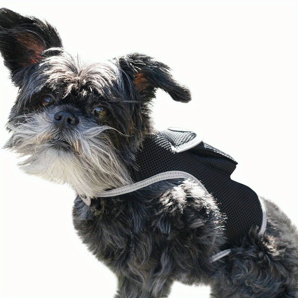 Mini Waterproof GPS Tracking Collar for Dogs & Cats - Real-Time Location Tracking via Smartphone App, Durable Steel Construction, Size XS, Lightweight Comfortable Design for Hunting & Outdoor Adventures