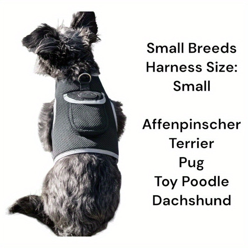 Rechargeable Mini Collar GPS Tag Pet Tracker w Wirel Realtime App Size:XS