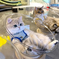 The Transparent Space Capsule Two-in-one Grinding Claws Are Not Wrong To Play, Protect The Furniture, The Cat Can Rotate With A Nudge, Open The Happy Self-hilarity Mode, With A Rail Ball Toy, Big Cats And Kittens Can Be