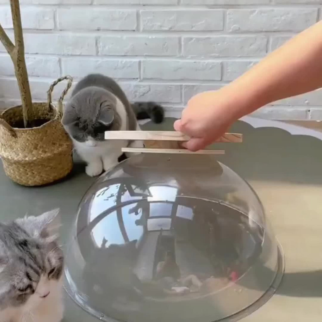 The Transparent Space Capsule Two-in-one Grinding Claws Are Not Wrong To Play, Protect The Furniture, The Cat Can Rotate With A Nudge, Open The Happy Self-hilarity Mode, With A Rail Ball Toy, Big Cats And Kittens Can Be