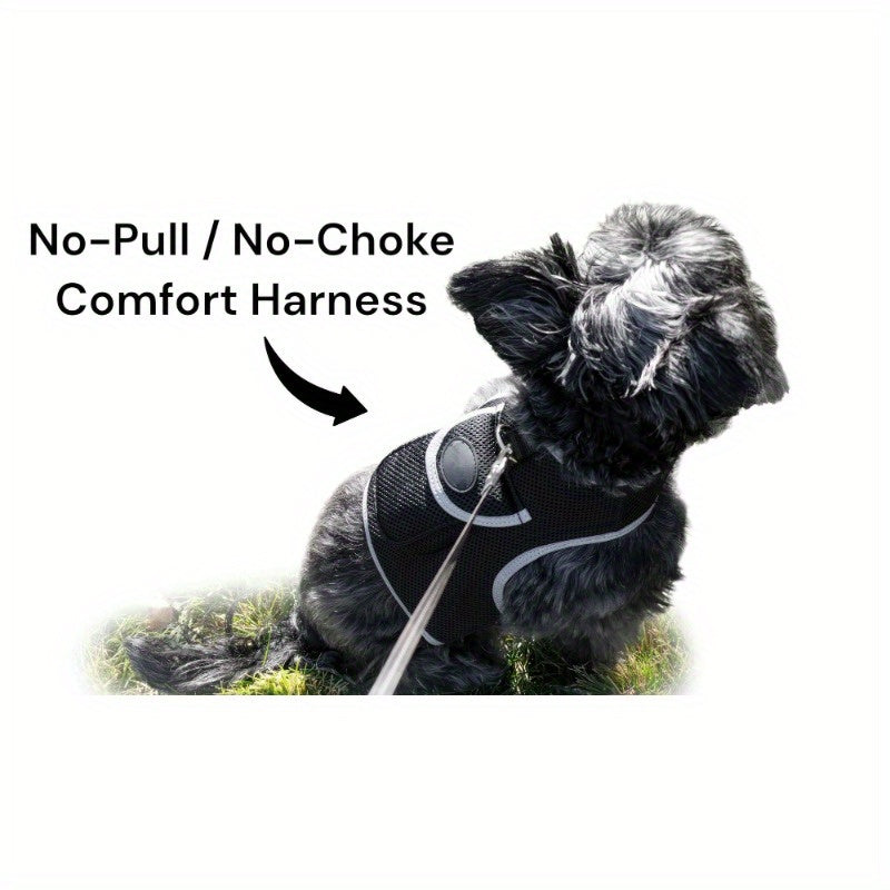 Rechargeable Mini Collar GPS Tag Pet Tracker w Wirel Realtime App Size:XS