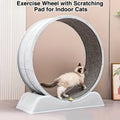 Silent Cat Treadmill 1pc Silent Non-Electric Cat Roller Treadmill | Durable Plastic Pet Exercise Wheel With Soft Grass Texture Surface, Cylindrical Tread Design, Safe Ramp - Promotes Health & Mental Stimulation For Indoor Cats, Without Battery