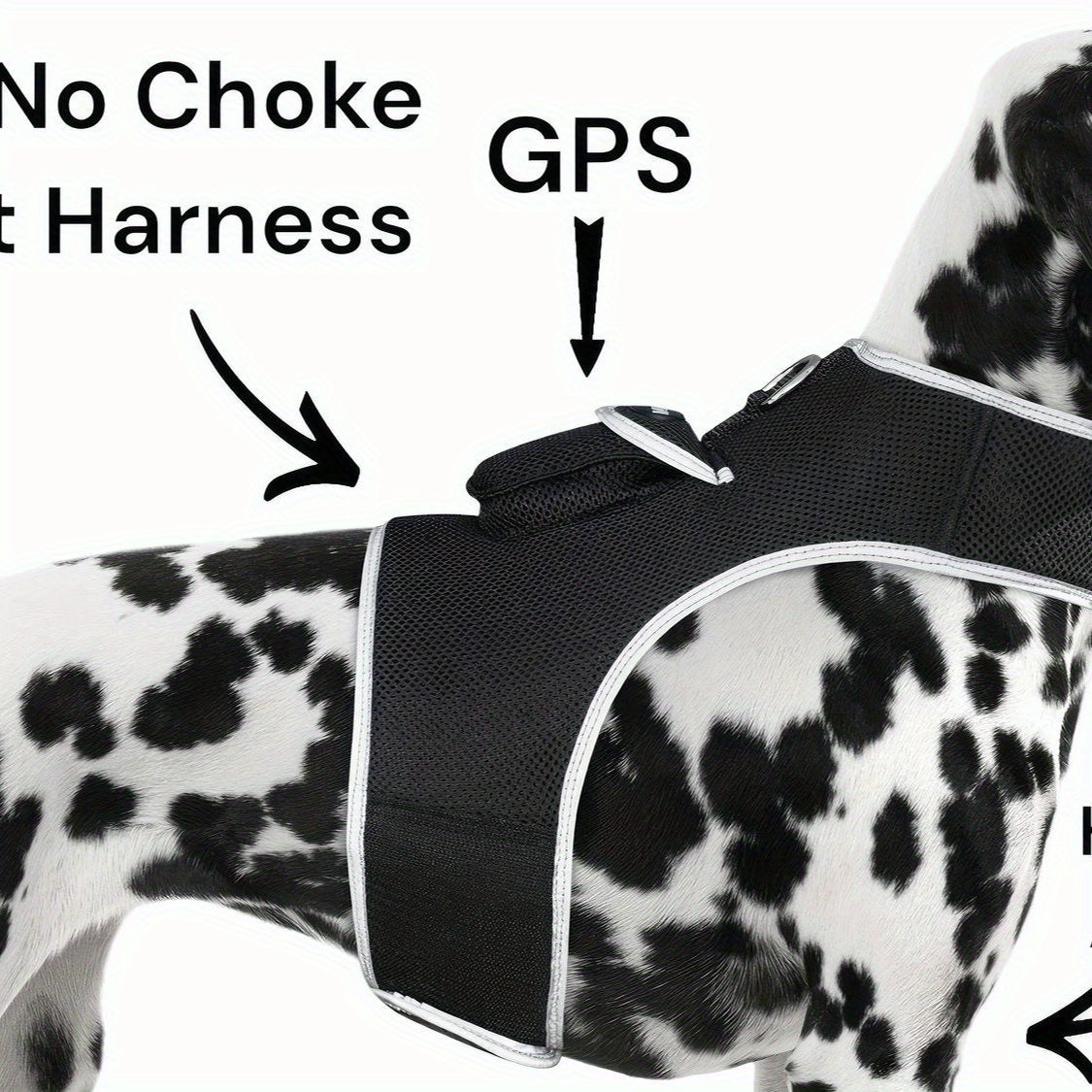 Mini Waterproof GPS Tracking Collar for Dogs & Cats - Real-Time Location Tracking via Smartphone App, Durable Steel Construction, Size XS, Lightweight Comfortable Design for Hunting & Outdoor Adventures