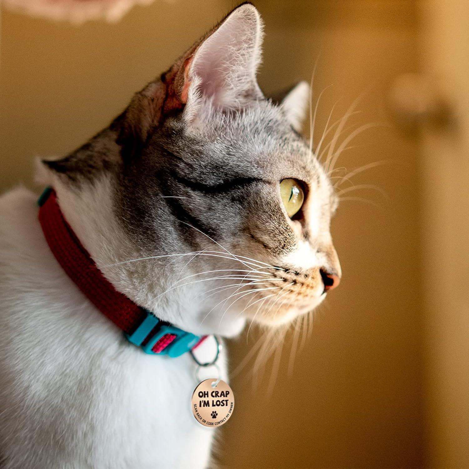 MYLUCKYTAG Stainless Steel QR Code Cat Tags - Online Profile, Scan QR for Instant Pet Location Alerts, Dog Tag, Animal Tracking, Sleek Design, Modern Pet Accessory, Highquality Metal, Rustresistant Material, Smart Pet Collar