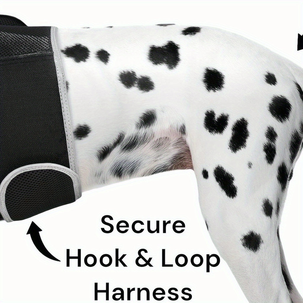 Mini Waterproof GPS Tracking Collar for Dogs & Cats - Real-Time Location Tracking via Smartphone App, Durable Steel Construction, Size XS, Lightweight Comfortable Design for Hunting & Outdoor Adventures