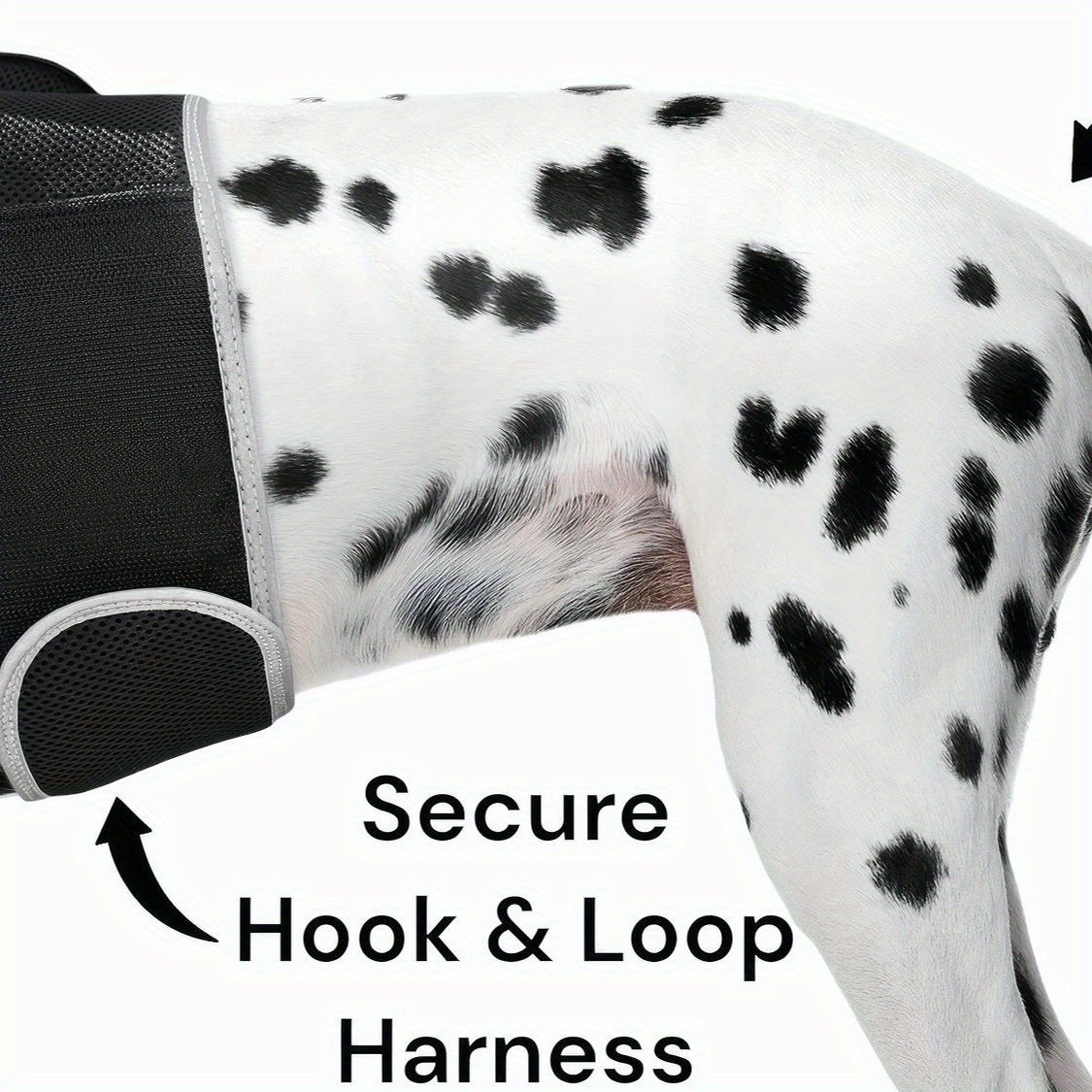 Mini Waterproof GPS Tracking Collar for Dogs & Cats - Real-Time Location Tracking via Smartphone App, Durable Steel Construction, Size XS, Lightweight Comfortable Design for Hunting & Outdoor Adventures