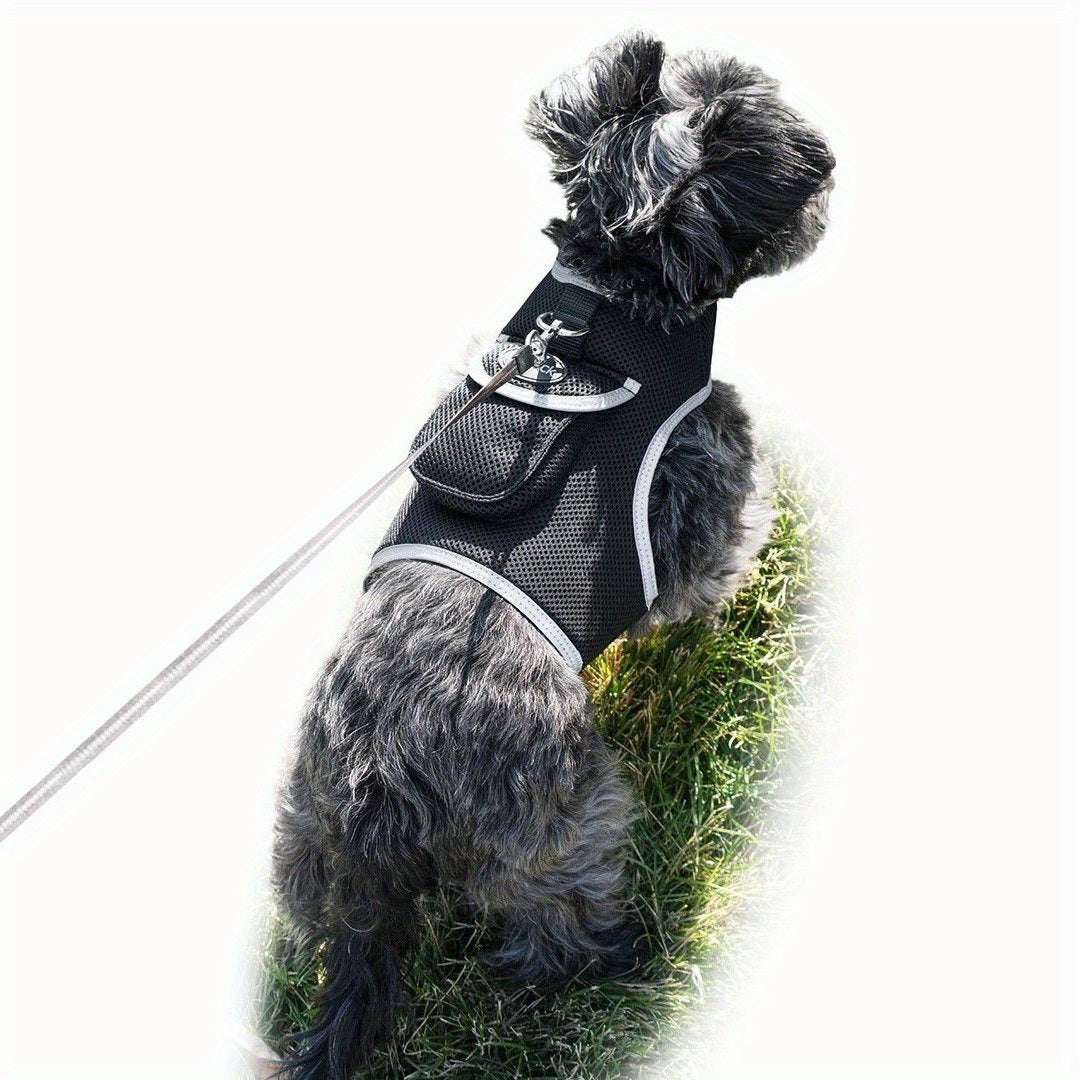 Mini Waterproof GPS Tracking Collar for Dogs & Cats - Real-Time Location Tracking via Smartphone App, Durable Steel Construction, Size XS, Lightweight Comfortable Design for Hunting & Outdoor Adventures